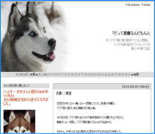 シベリアンハスキー　あくま・・・もとい　アクア