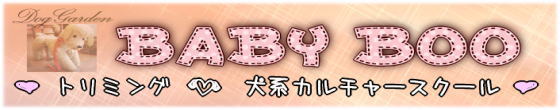 守谷市リセトリミングスクール